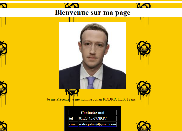 Création d'une page HTML avec formulaire d'envoie et des style css
